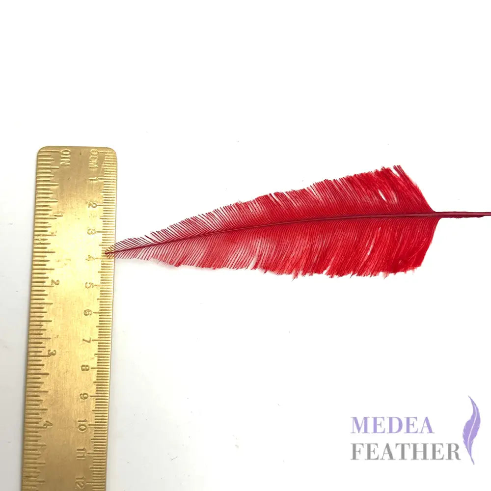 *Sales* 20cm Long Tree Ostrich Feather (1 pack=5 pieces)