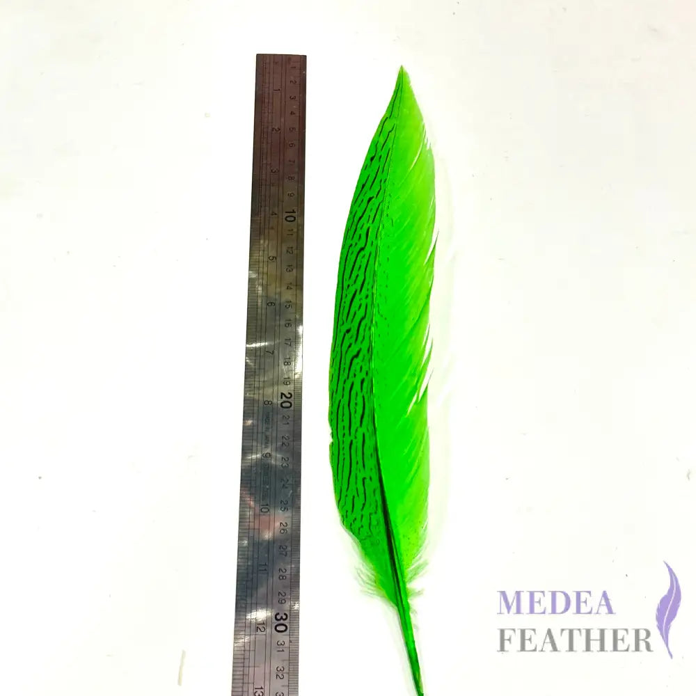 *Sales* 30-35cm Natural Silver Pheasant Tail Feather