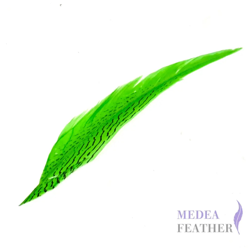 *Sales* 30-35cm Natural Silver Pheasant Tail Feather