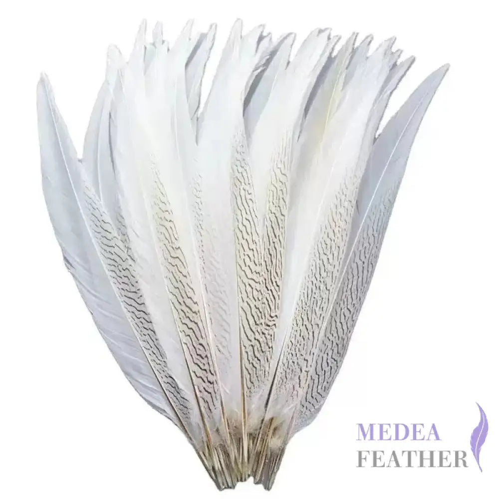 *Sales* 30-35cm Natural Silver Pheasant Tail Feather White
