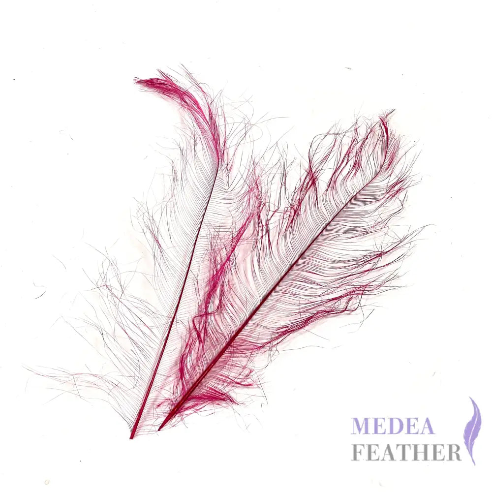 *sales* 30cm Burnt Ostrich Feather Plume #20 Barbie pink