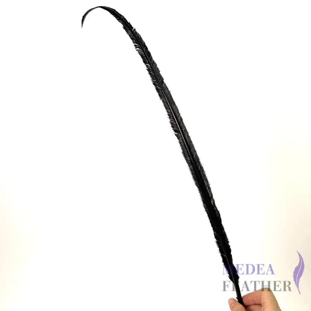 *sales* 50cm Long Black Trimmed Short Ostrich Feather