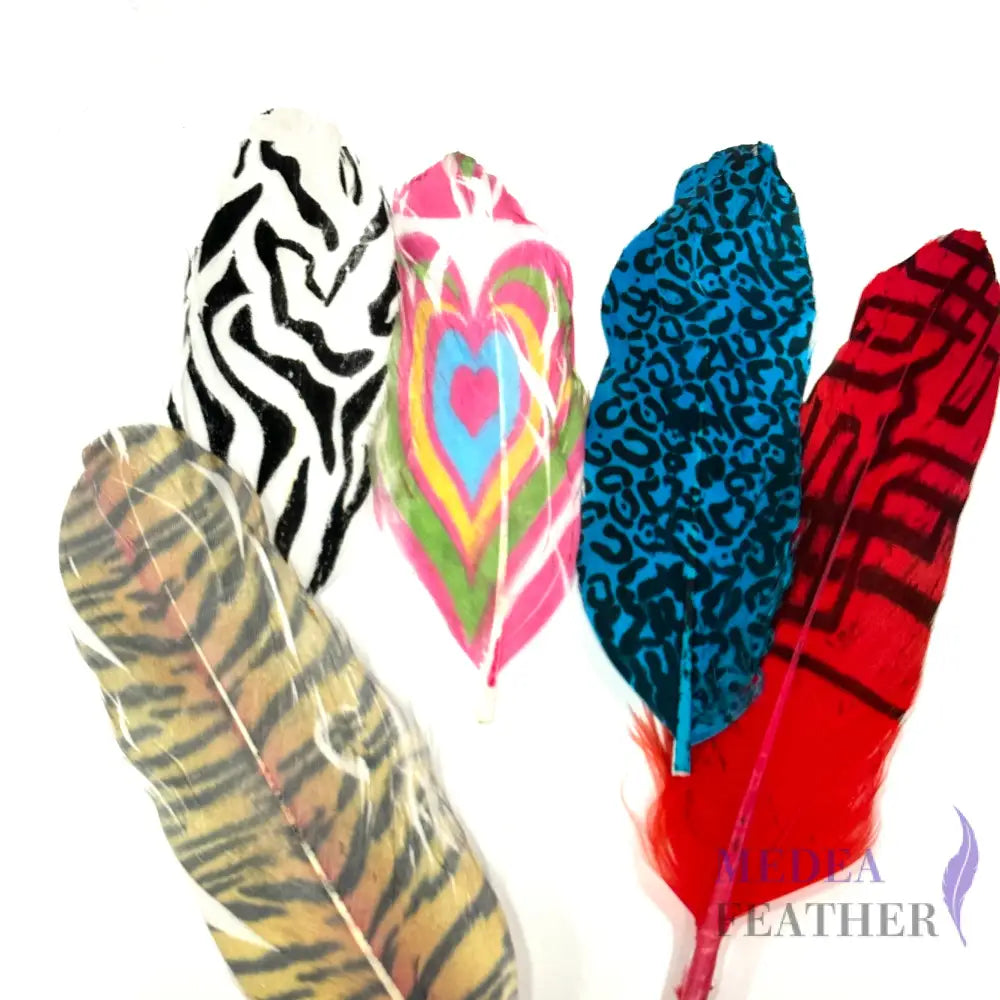 【Sales】Unique Printed Goose feather (1 pack=20 pieces)