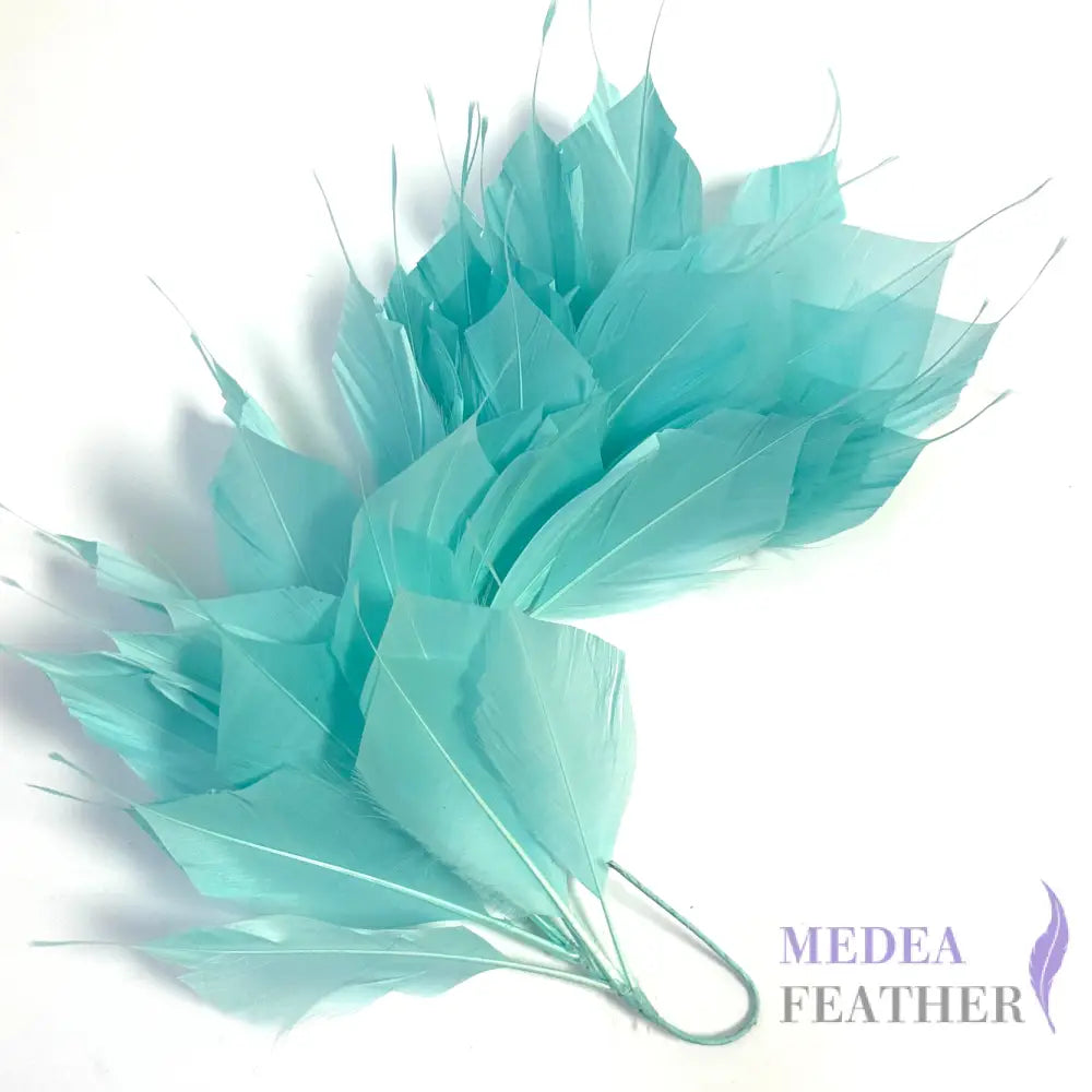 Spiky Goose Feather Wired Hat Mount DS25050D #76 Aqua