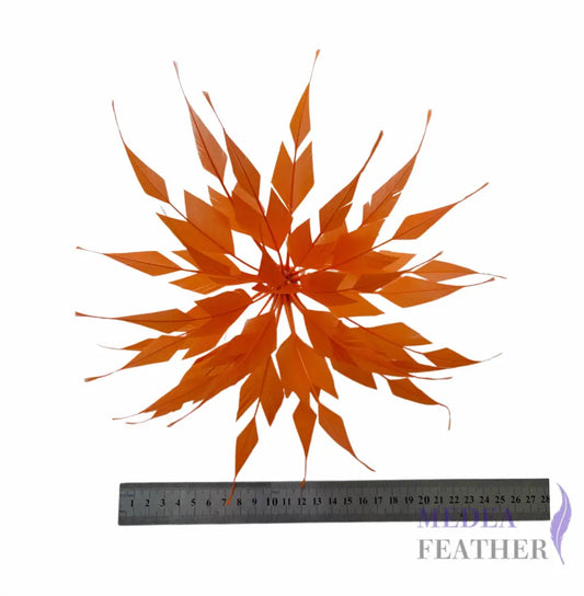 Starburst Goose Feather Flower DS26081702