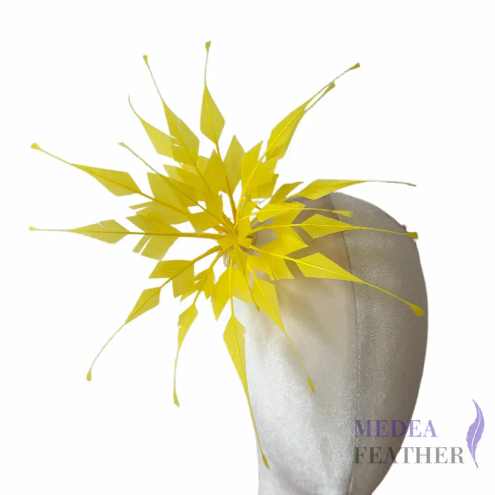 Starburst Goose Feather Flower DS26081702