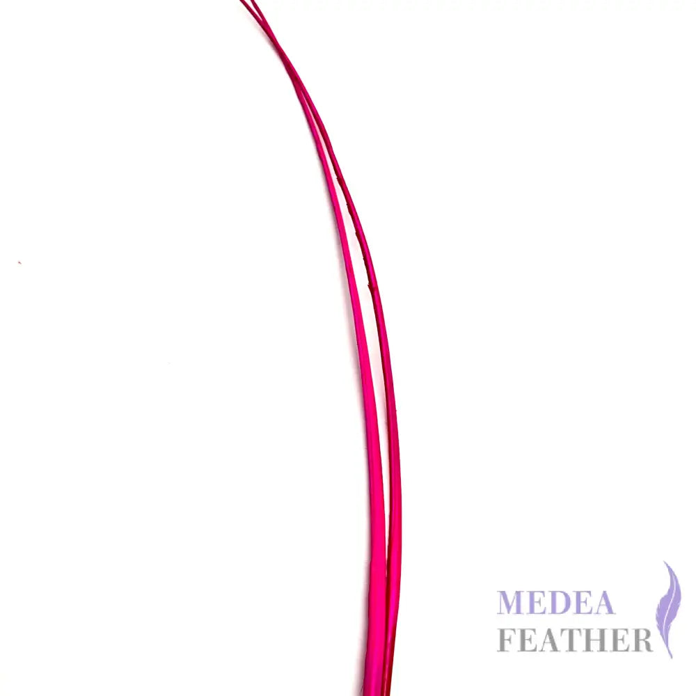 Stripped Ostrich Quill Feather Hot pink / 1 piece ready-to-ship