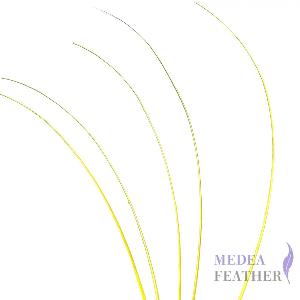 Stripped Ostrich Quill Feather Yellow / 1 piece ready-to-ship