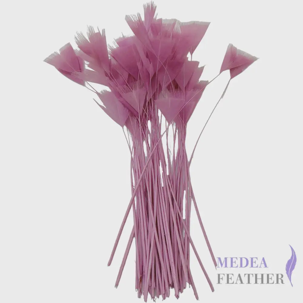 Stripped Turkey Feathers-Pack of 50 - #61meadow mauve