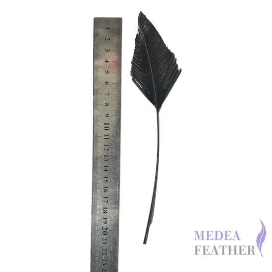 Trimmed Ostrich Feather-Pack of 2 - Style 2 black feather part 8cm