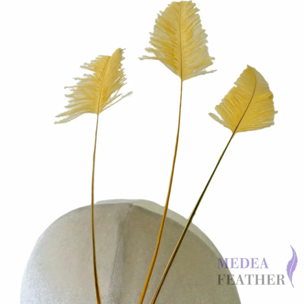 Trimmed Ostrich Feather-Pack of 3