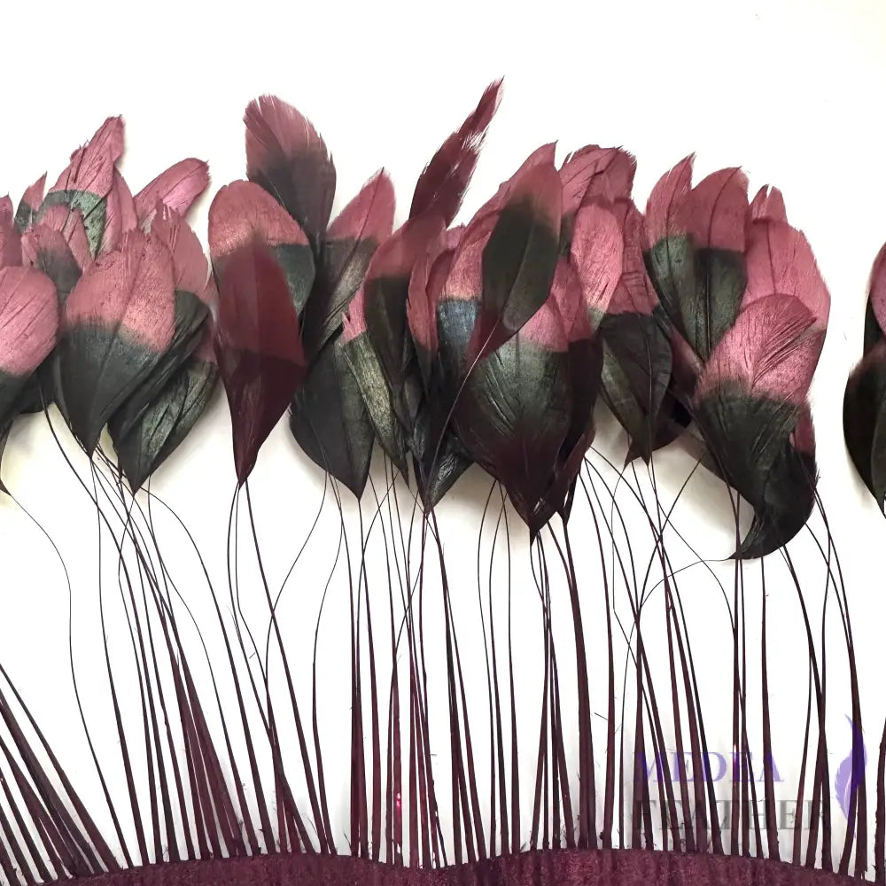 Two colour Coque Feather Trim #37 burgendy