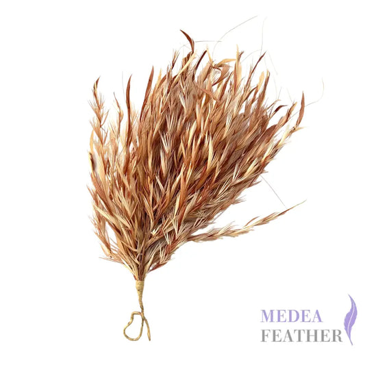 Two-colour Goose Biot Feather Flower Mount Light brown