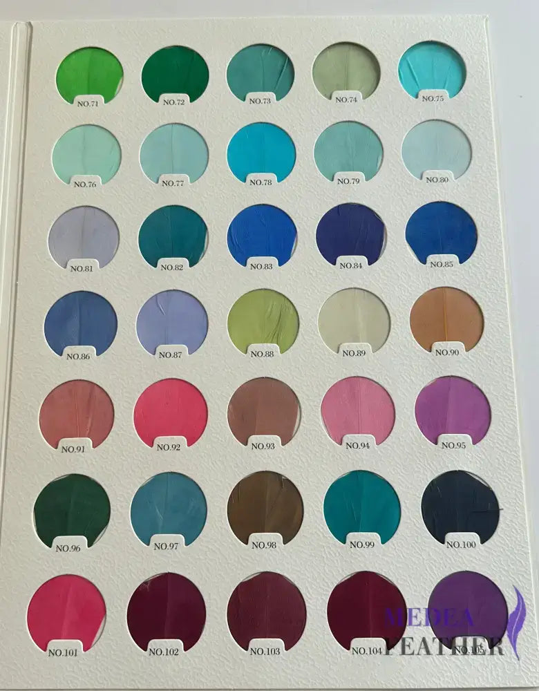 Feather Colour Card Chart 105 colours