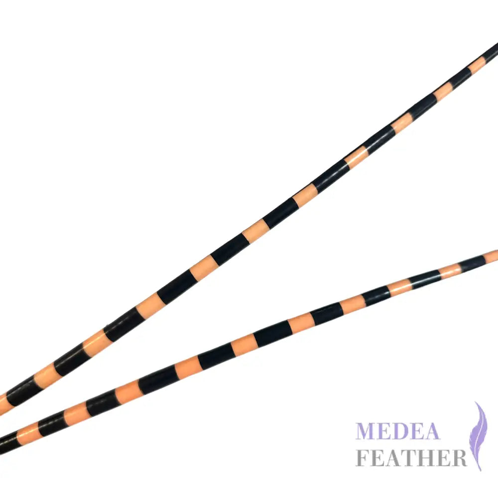 Two Tone Ostrich Feather Quill SFOSTRICH02 - #48 peach +black base