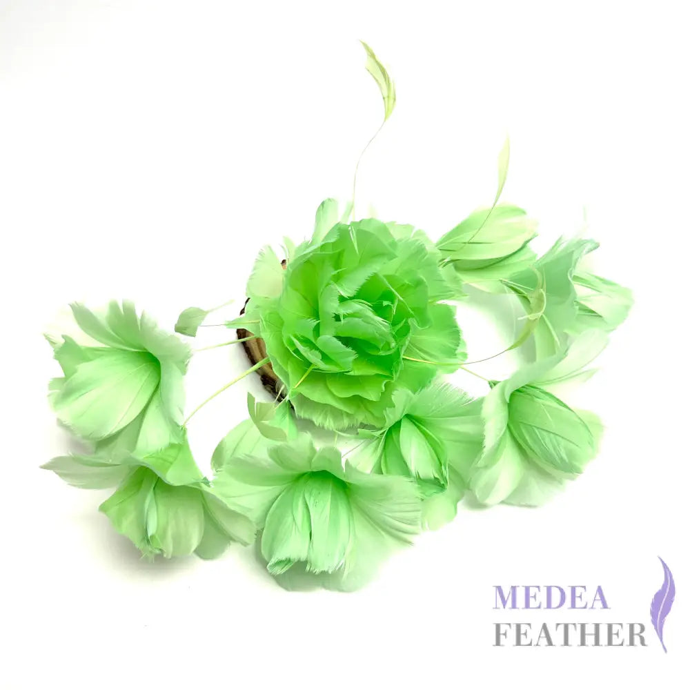 ’Valentines Roses’/ Classic Goose Feather Flower Mount #55 mint