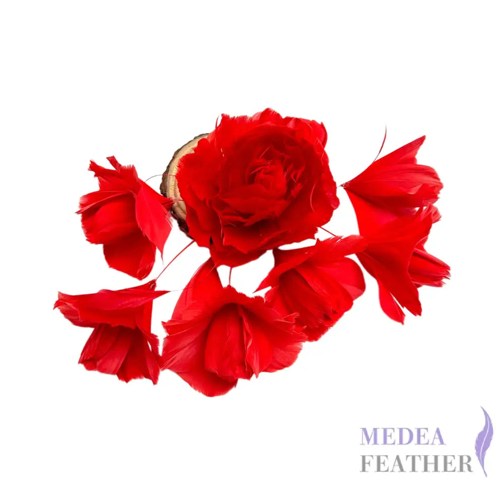 ’Valentines Roses’/ Classic Goose Feather Flower Mount