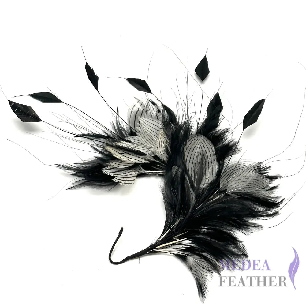 White Silver Pheasant Plumage Feather and Hackle Feather Mount Custom - Please add text below