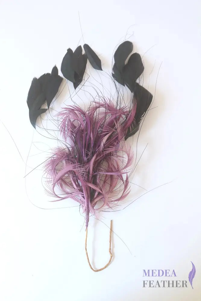 Wrap Goose Biot Feather and Coque Feather Mount Custom - Please add text below