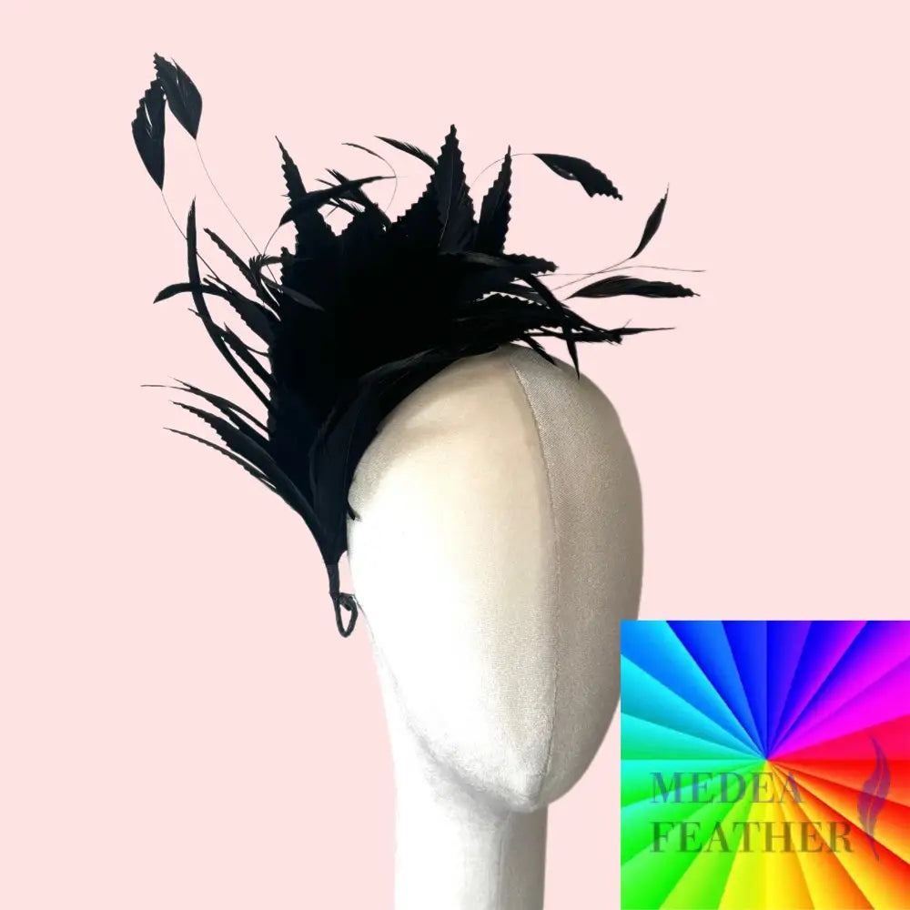 Ziazag Goose Feather & Goose Biot Feather Mount DS260716 - Custom - Please add text below
