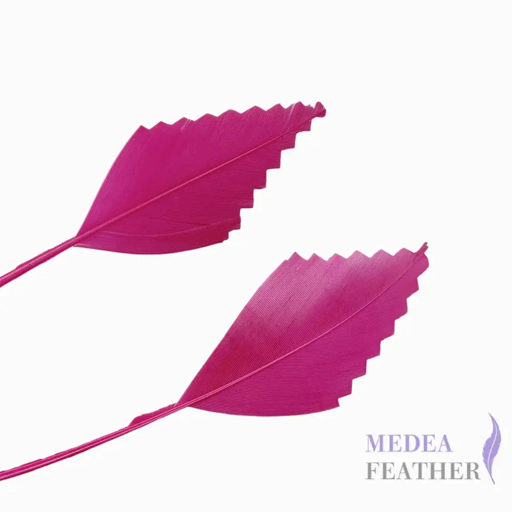 Zigzag Edge Hard Goose Feather-Pack of 20 - #101 Fandango pink