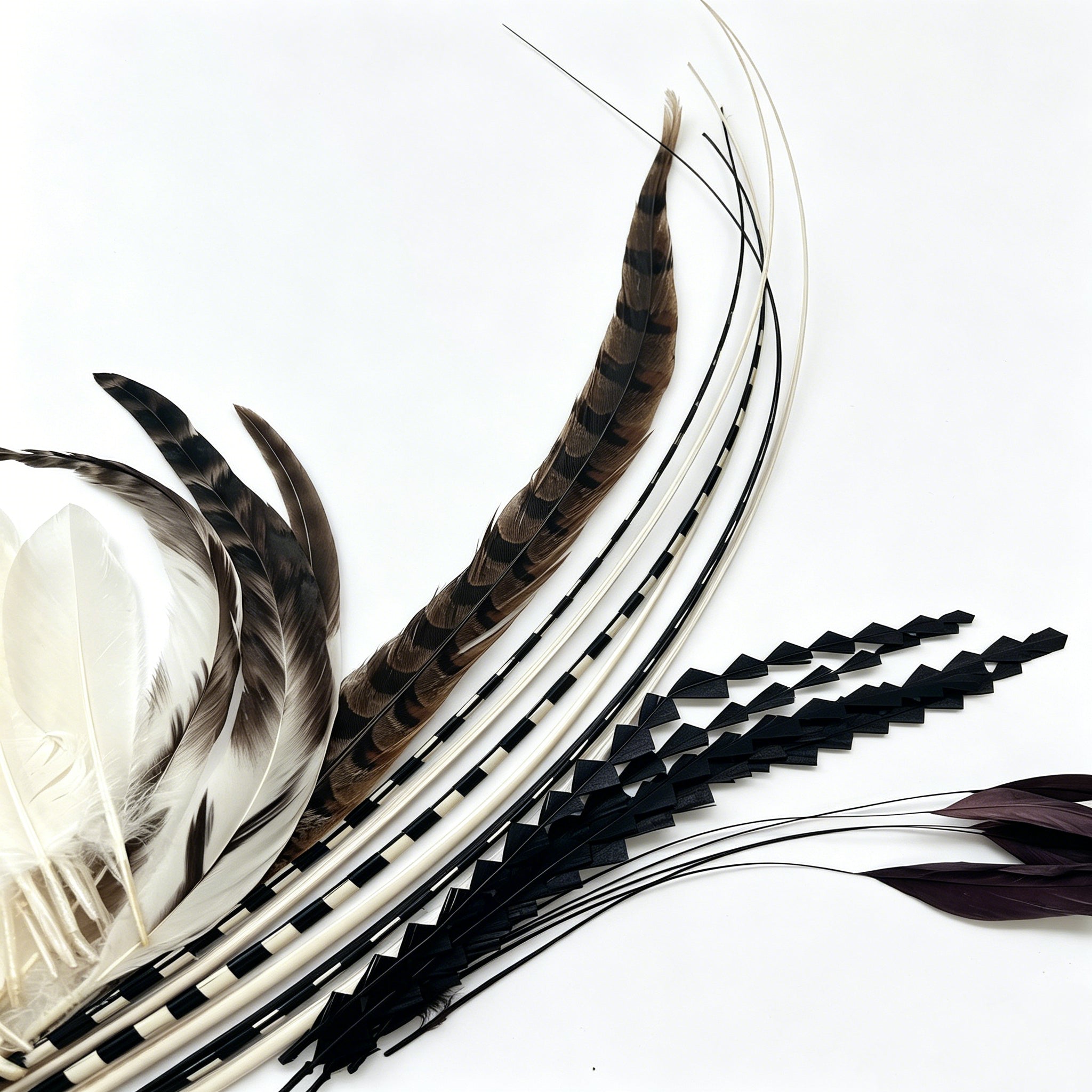 Feather By Species – MEDEA FEATHER
