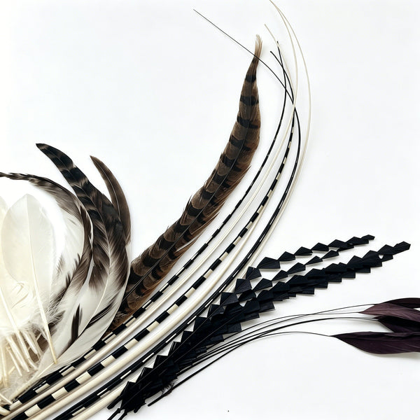 Feather By Species