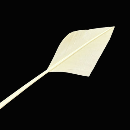 Arrowhead Turkey Quill Feather