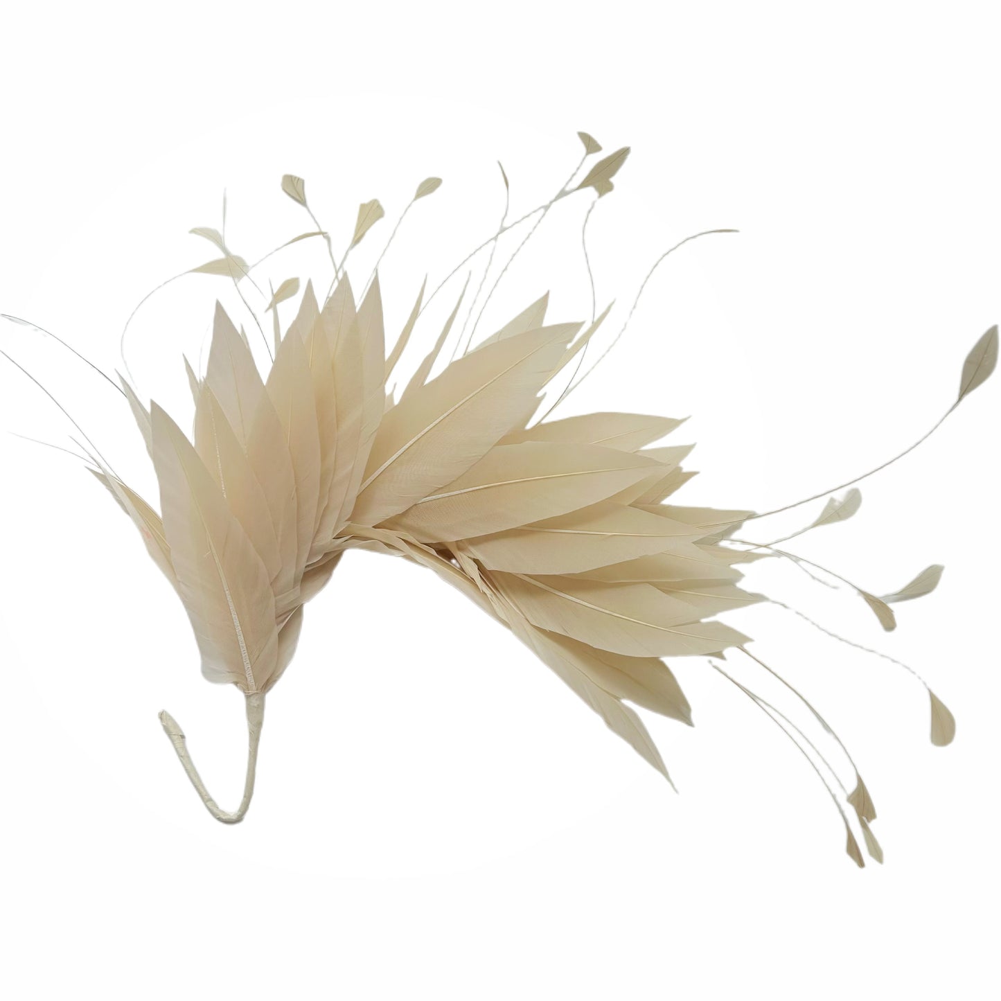Goose and Coque Feather Mount FM304