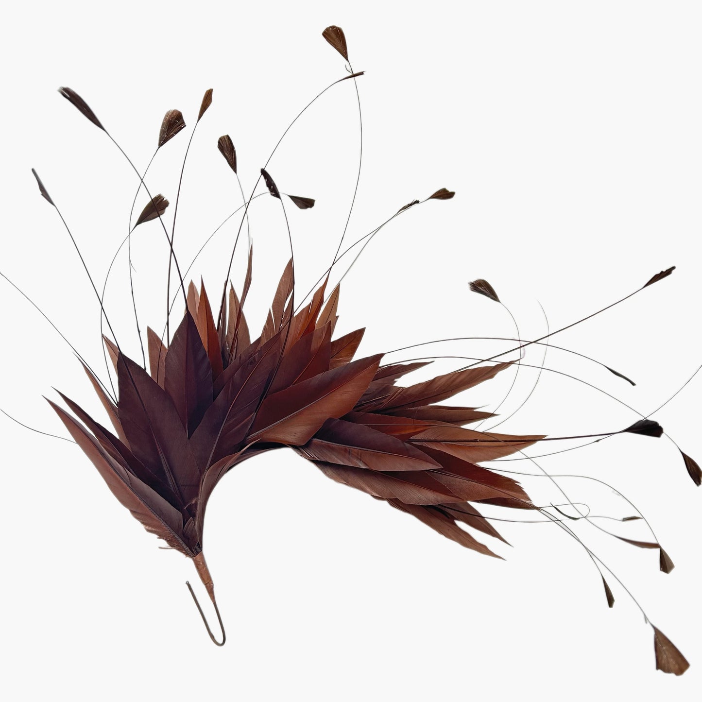 Goose and Coque Feather Mount FM304