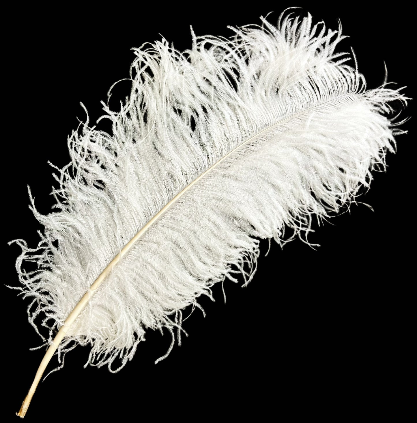 Ostrich Feather Plume 55-60cm