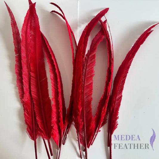 1 Piece-45 cm Red Trimmed Ostrich Nandu Feather Red
