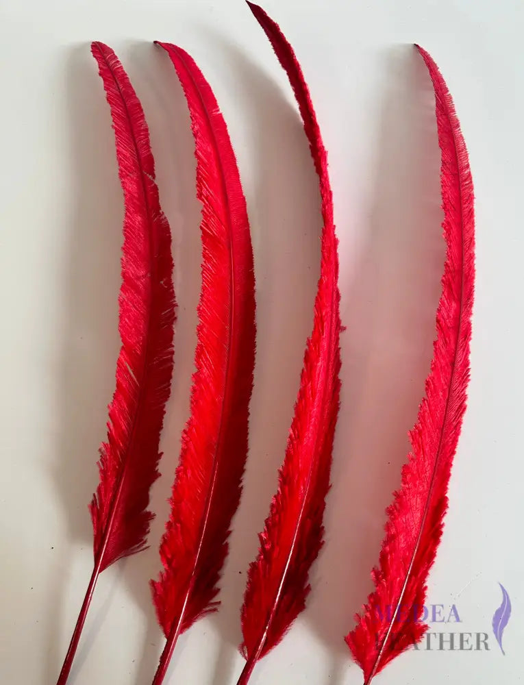 1 Piece-45 cm Red Trimmed Ostrich Nandu Feather Red