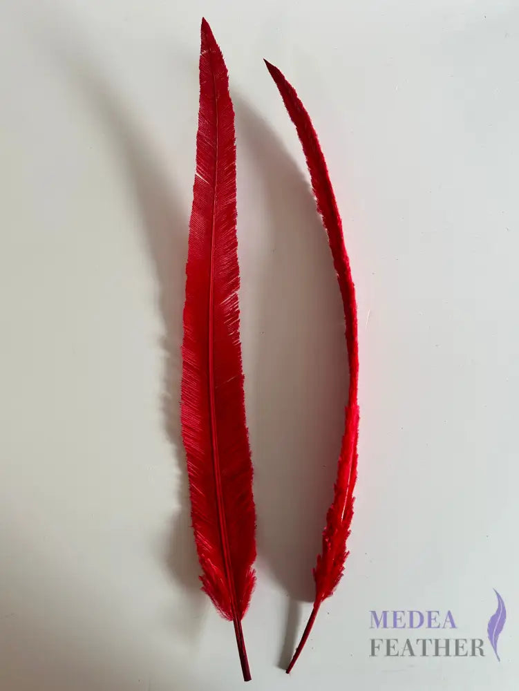 1 Piece-45 cm Red Trimmed Ostrich Nandu Feather Red