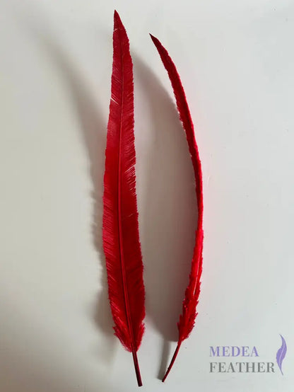 1 Piece-45 cm Red Trimmed Ostrich Nandu Feather Red
