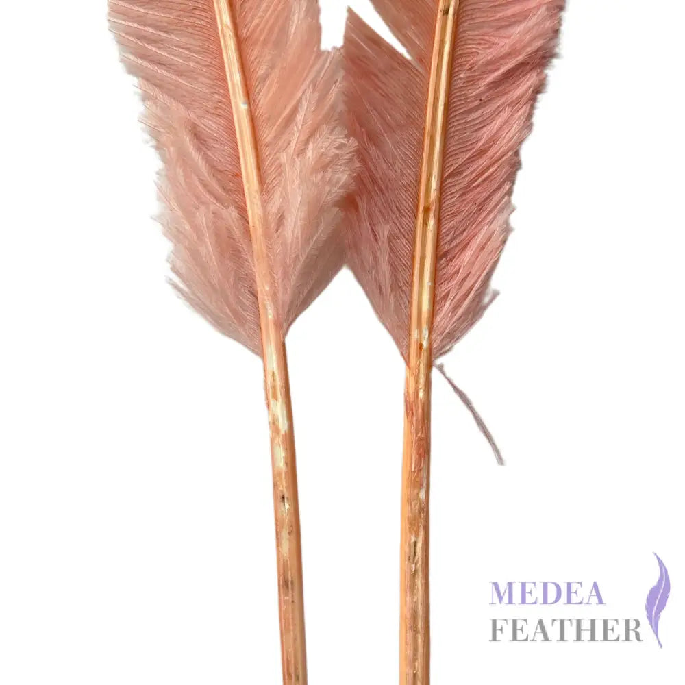 1 Piece-45 cm Trimmed Ostrich Nandu Feather SF014
