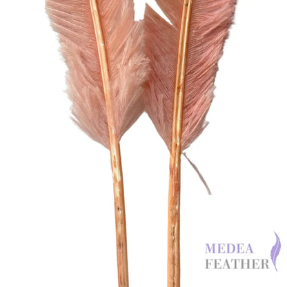 1 Piece-45 cm Trimmed Ostrich Nandu Feather SF014