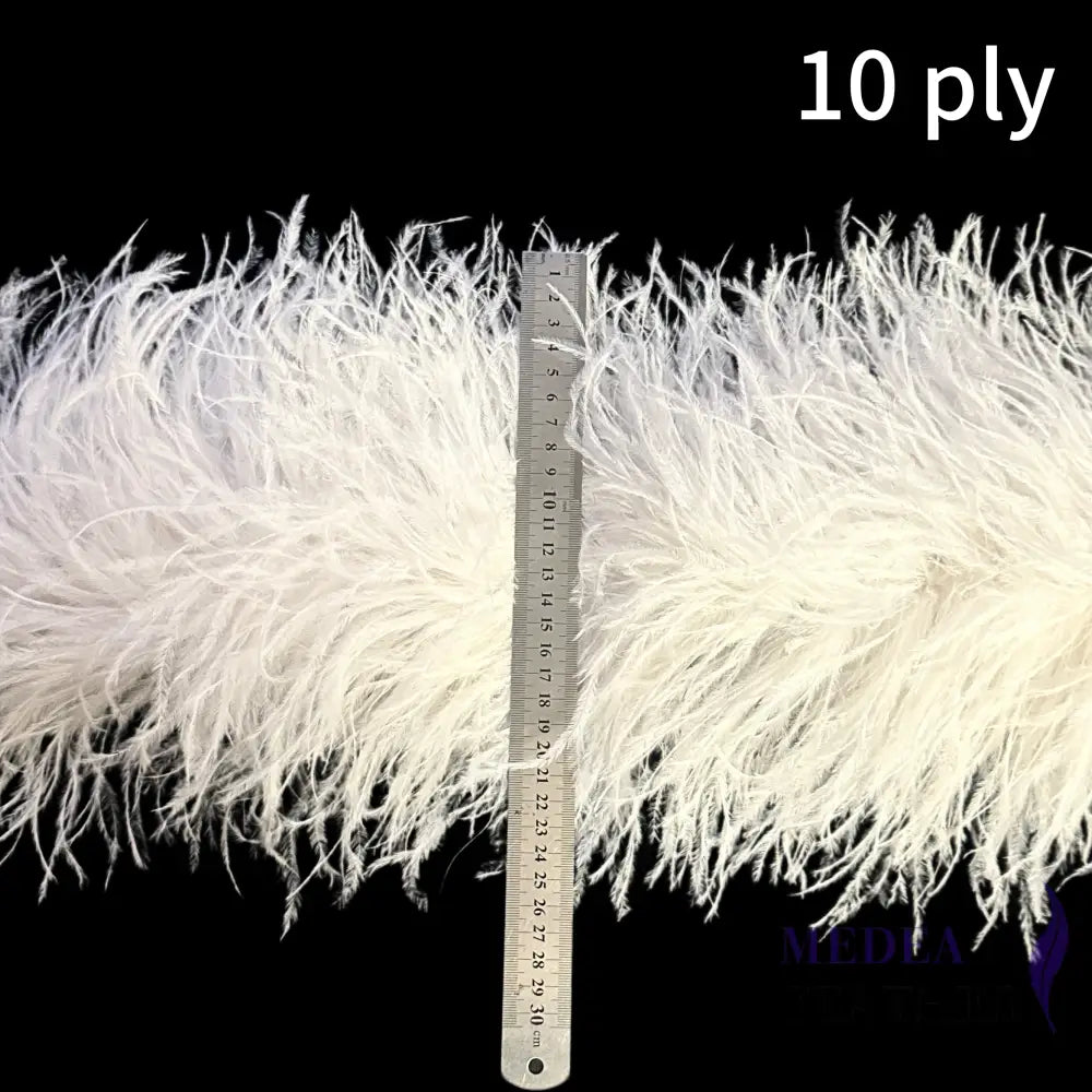 10 Ply Ostrich Feather Fringe Feather Boa (2 yards) FB04
