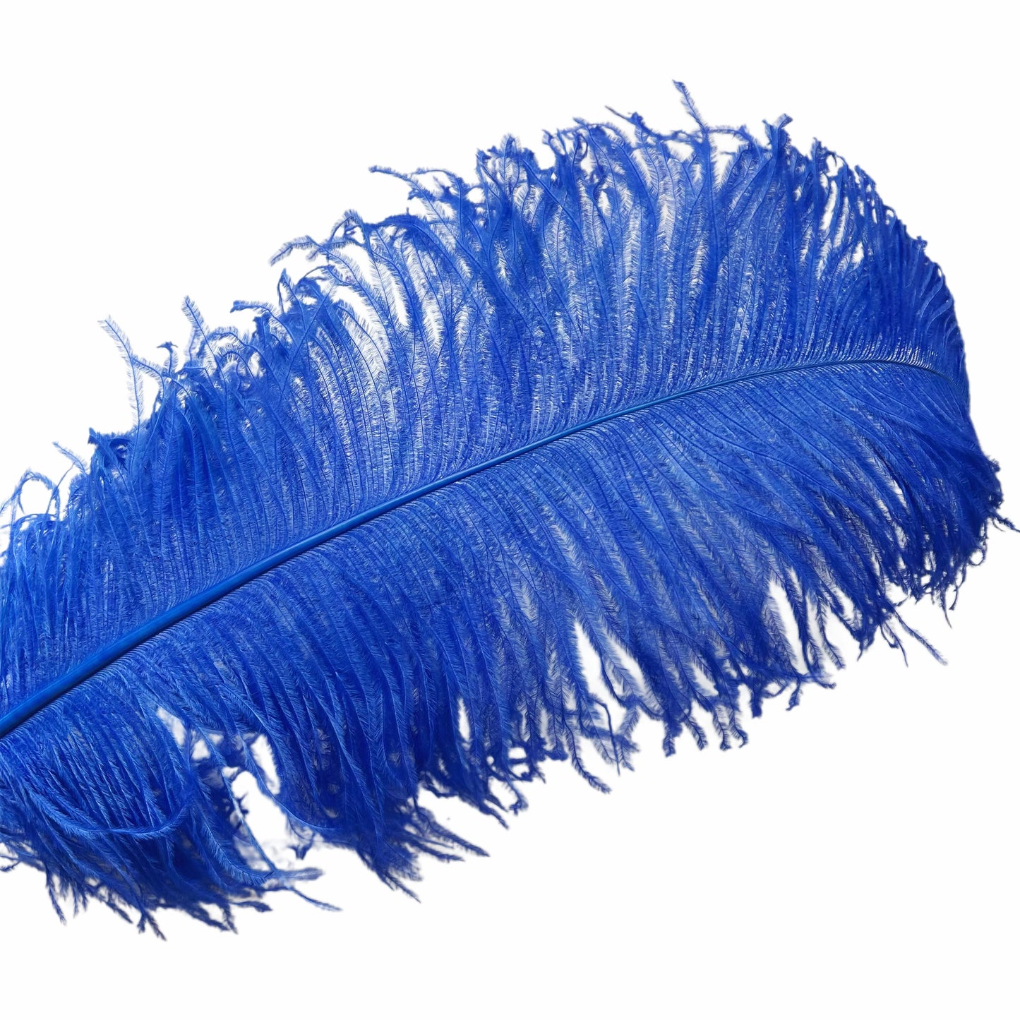 Ostrich Feather Plume 55-60cm