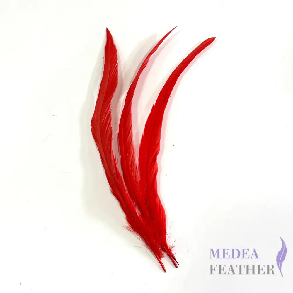 12’’-14’’ Dyed Rooster Coque Tail Feathers- 25 pieces #22 red