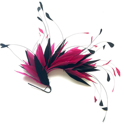 Goose and Coque Feather Mount FM304