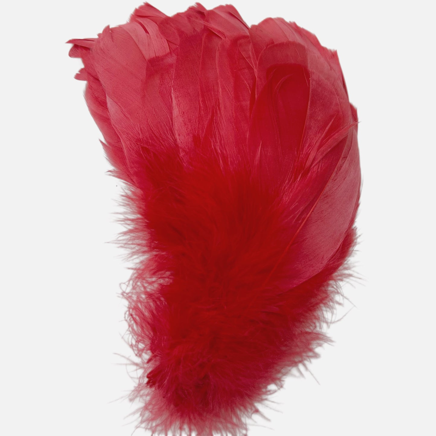 Soft Goose Feather-Pack of 50 SFGOOSE01