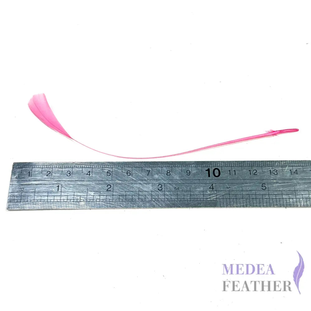 14cm Small Round Tips Coque Feather-Pack of 10