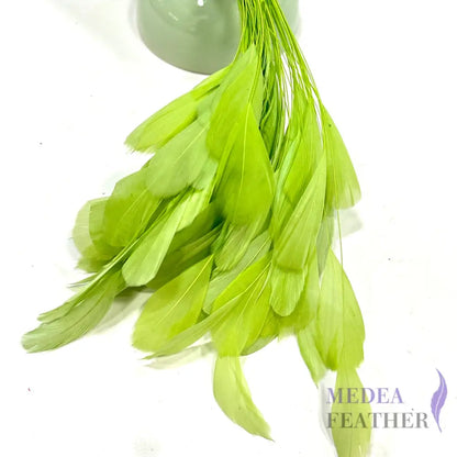 14cm Small Round Tips Coque Feather-Pack of 10 Lime Green