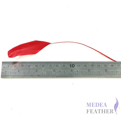 15cm Stripped Coque Feathers - Pack of 10