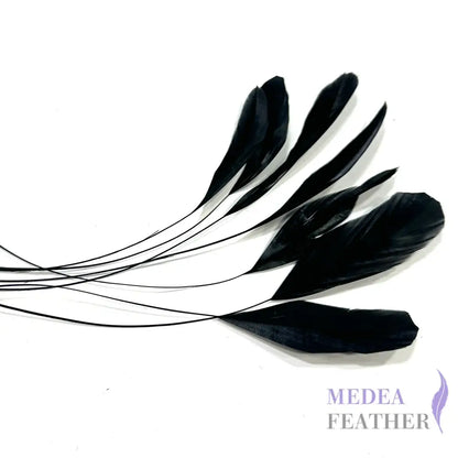 15cm Stripped Coque Feathers - Pack of 10 Black