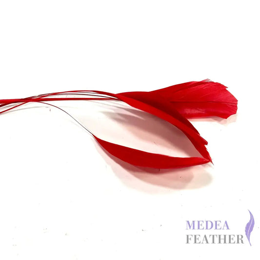 15cm Stripped Coque Feathers - Pack of 10 Red
