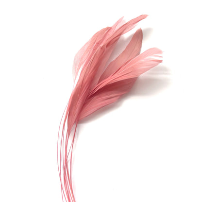 25cm Stripped Coque Feathers - Pack of 10 SFROOSTER01