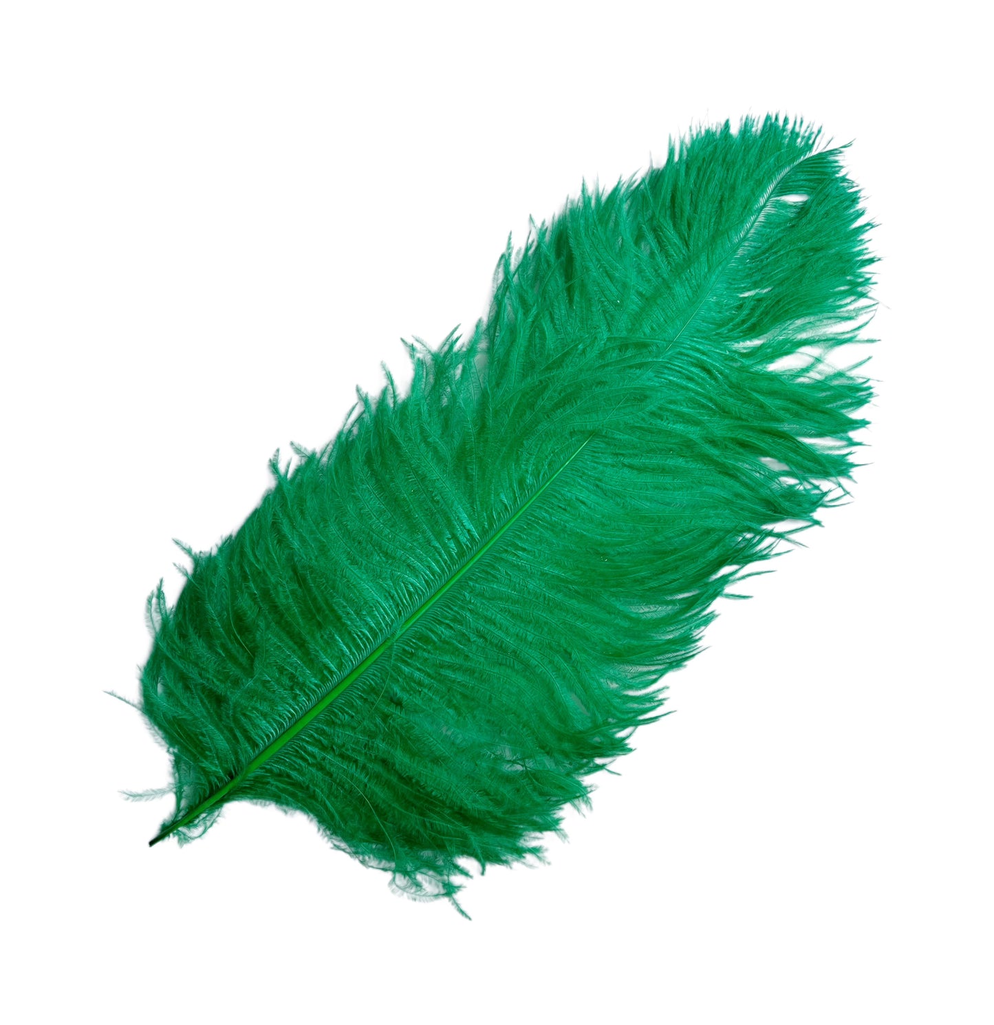 Ostrich Feather Plume 55-60cm