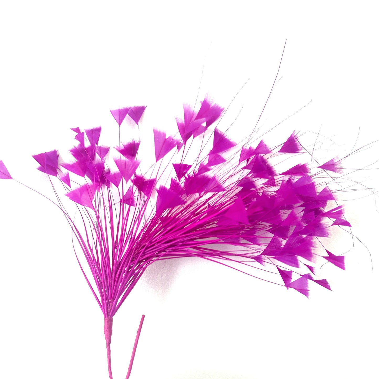 Peacock Hair Diamond Tip Mount FM001